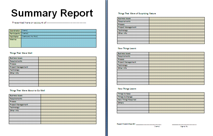 Summary Report Template Free Business Templates