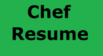 Chef Resume Template