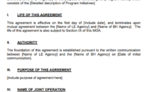 Memorandum of Agreement Template