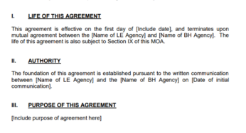 Memorandum of Agreement Template